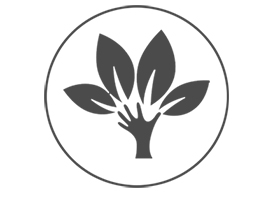 振隆印象